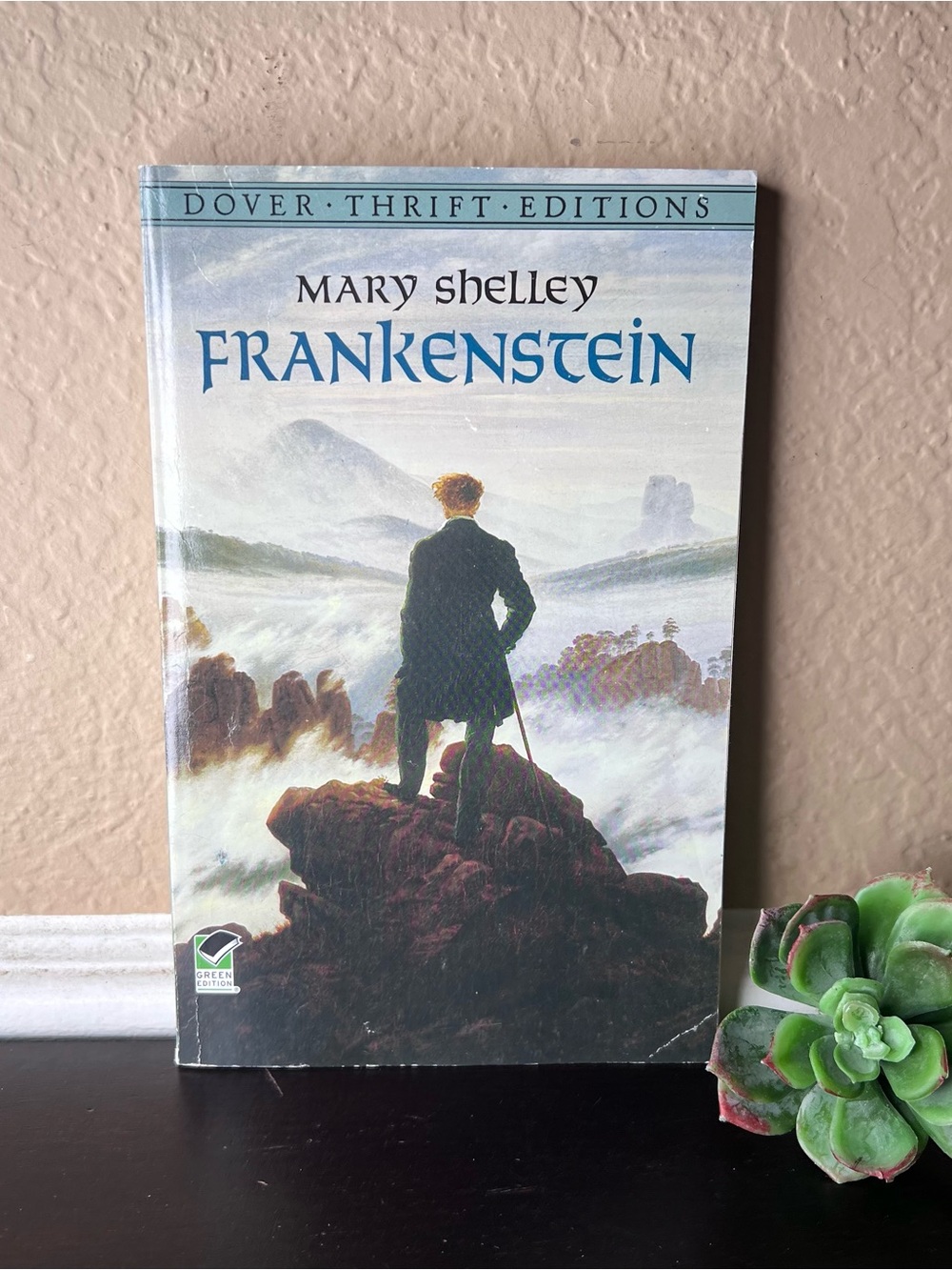 Vintage 1994 Frankenstein Book by Mary Shelley, Dover, Gothic Horror Novel